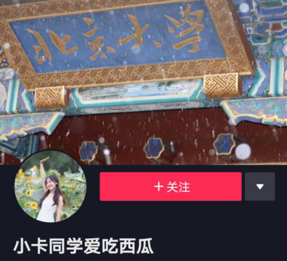 将兴趣做到极致,北大小姐姐的优秀你也可以复制