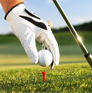 ���Լ����˲�����������